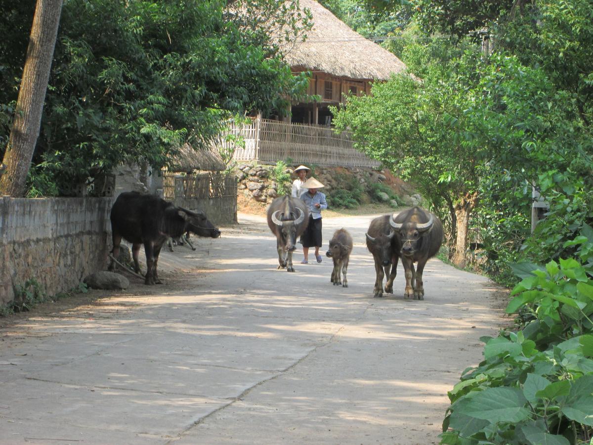 Dong Que Homestay-Tours-Motorbike, Car Rental, Hiking Ha Giang Exterior foto